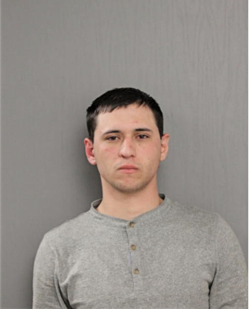BRANDON M LOZANO, Cook County, Illinois