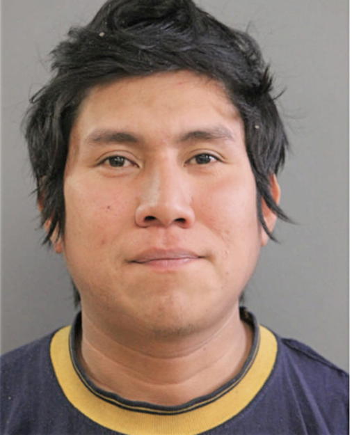 JOSE A LUNA-HERNANDEZ, Cook County, Illinois