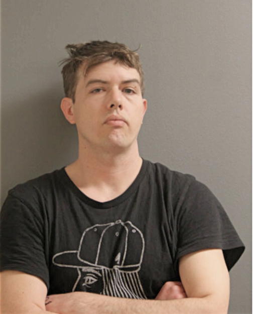 LUKE C MAHAN-TAYLOR, Cook County, Illinois