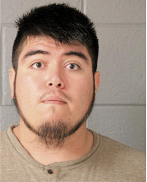 DANIEL E MENDOZA, Cook County, Illinois