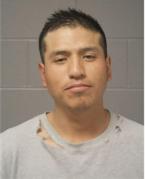 EVELIO ORTEGA, Cook County, Illinois