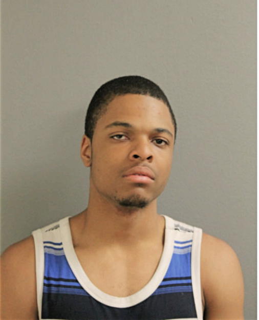 MICHAEL B POWELL, Cook County, Illinois