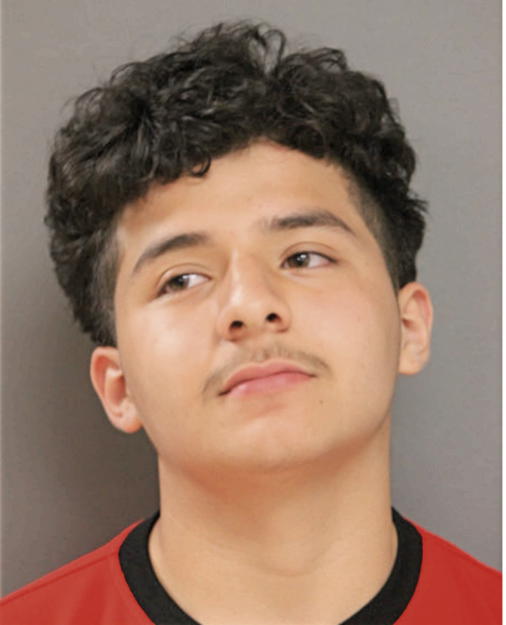 CHRISTIAN REYES, Cook County, Illinois