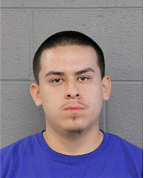 ALEXANDER SOTELO, Cook County, Illinois