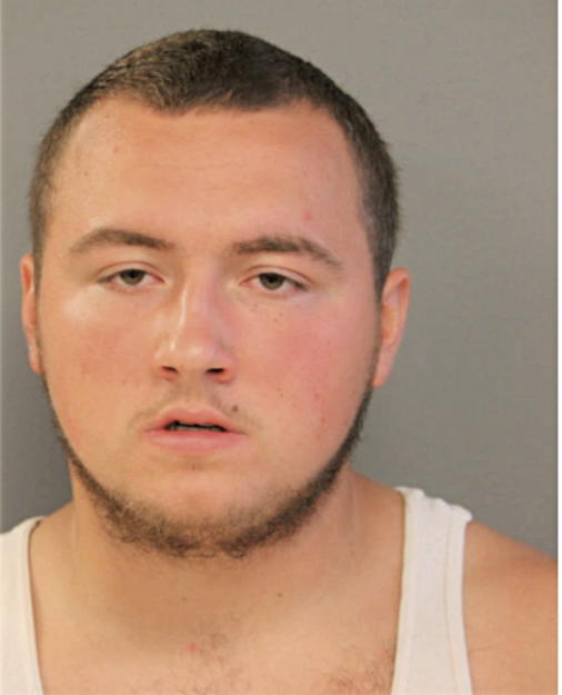 JOSHUA M SWANN, Cook County, Illinois