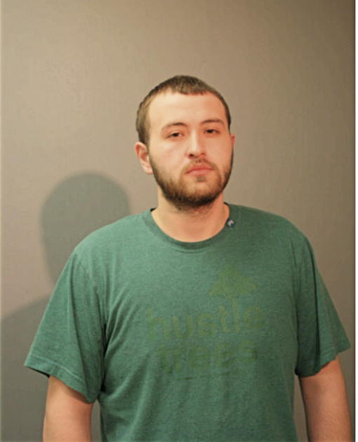 BRANDON JAMES VAN VLEET, Cook County, Illinois