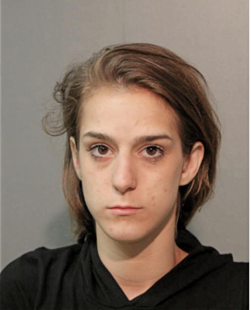 ERICA J VANDERPLOW, Cook County, Illinois