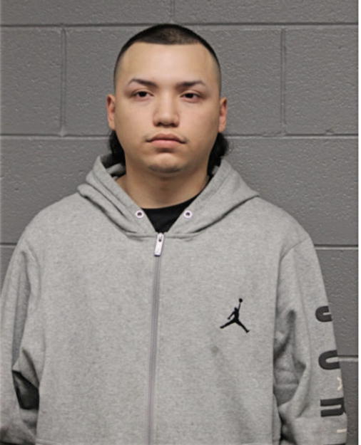 MARK A VARGAS, Cook County, Illinois
