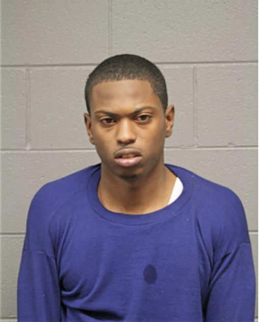 MICAH D ANDERSON, Cook County, Illinois