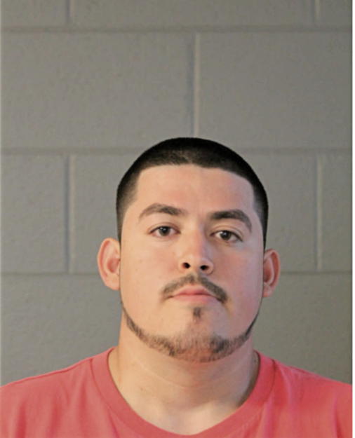 MANUEL CASTRO AVALOS-CASTRO, Cook County, Illinois