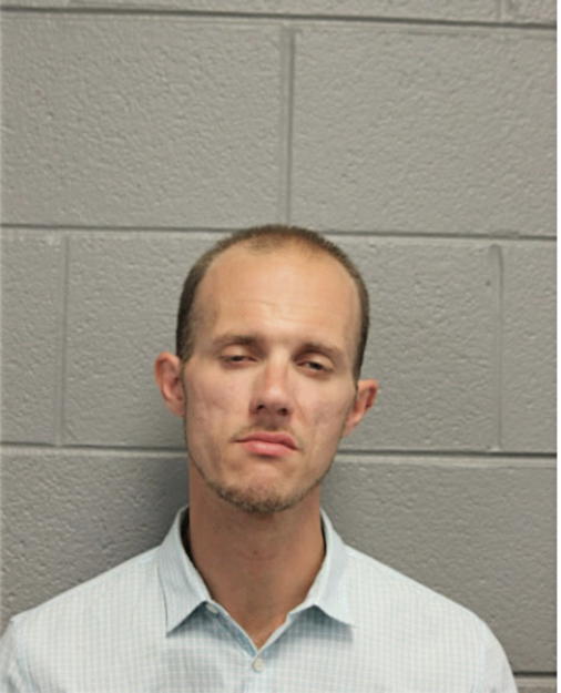 STANLEY T BRZOZOWSKI, Cook County, Illinois