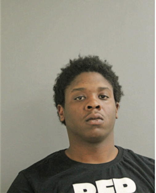 LAFAYETTE C BUSH, Cook County, Illinois