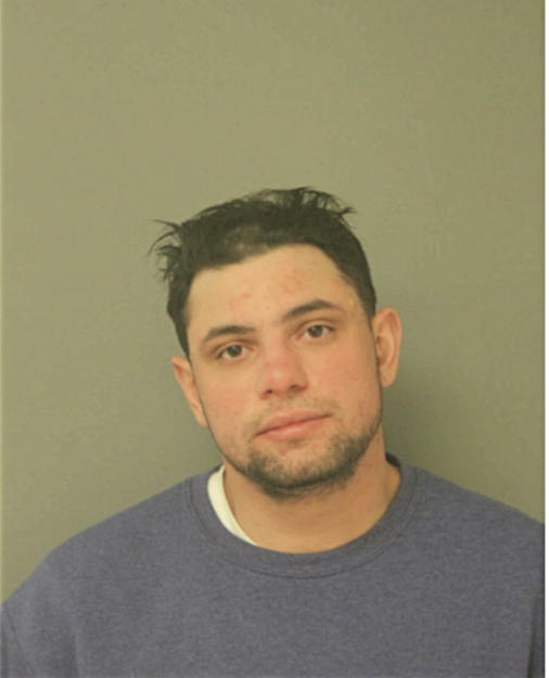 FRANK S ELY, Cook County, Illinois