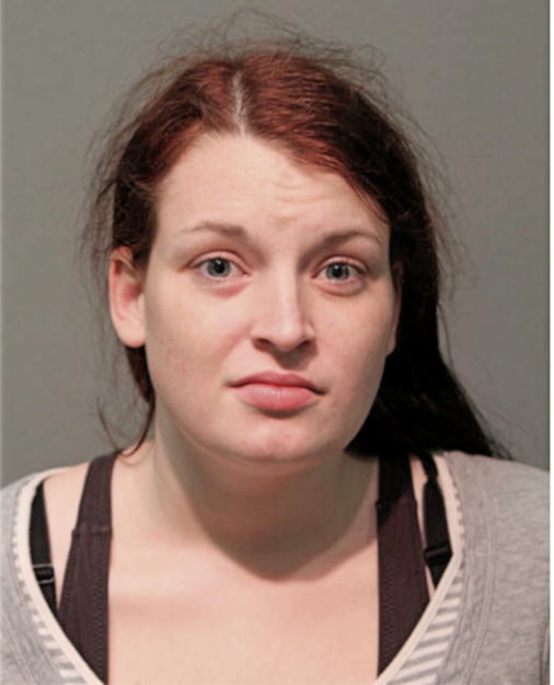 NICOLE L EVERTSON, Cook County, Illinois