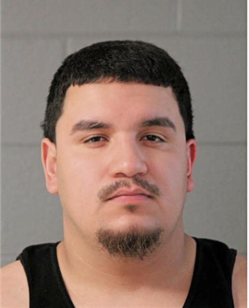 OMAR R FLORES, Cook County, Illinois