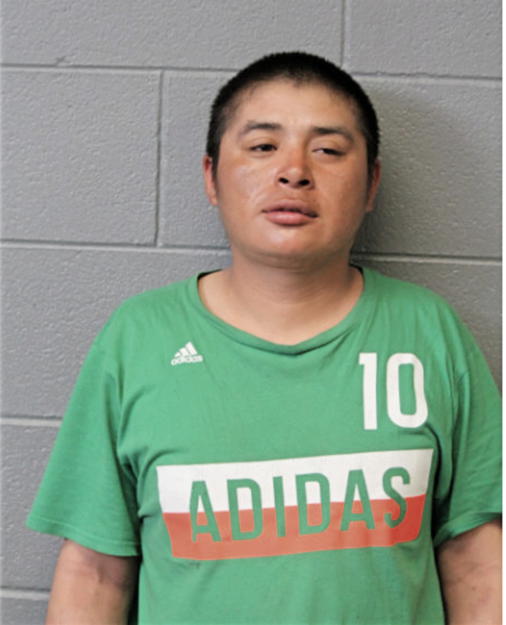 PEDRO C GONZALEZ, Cook County, Illinois