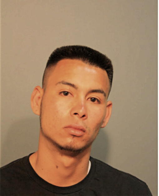 FRANSICO A GUZMAN, Cook County, Illinois