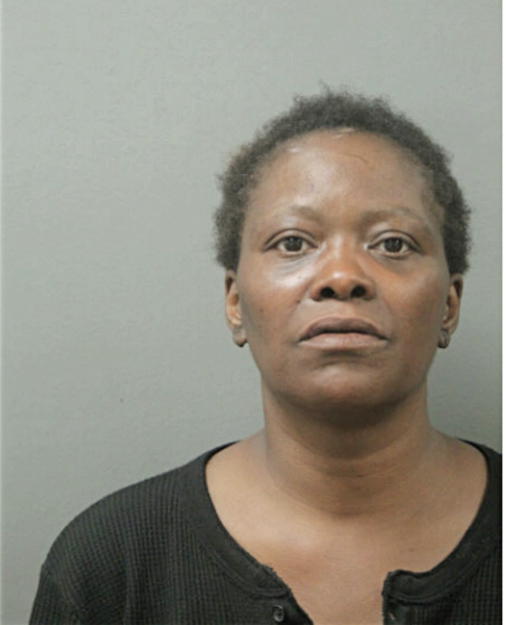 LISA A HILL, Cook County, Illinois