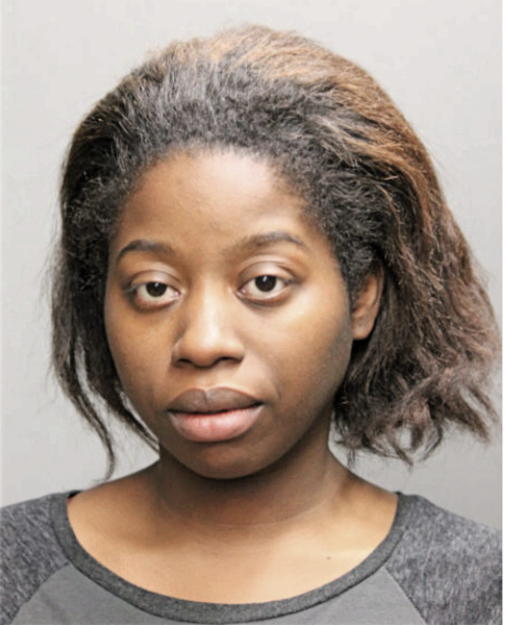 DARNESHA L JEFFERSON, Cook County, Illinois