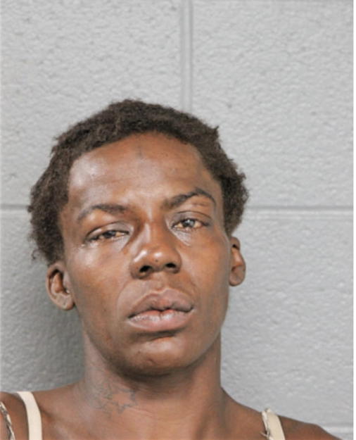 ADRIENNE L JOHNSON, Cook County, Illinois