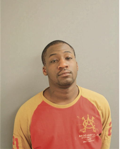 DAVID M JOHNSON, Cook County, Illinois