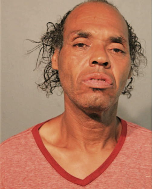 TONY D LANDERS, Cook County, Illinois