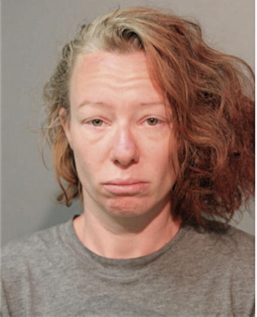 AMY M LEE, Cook County, Illinois