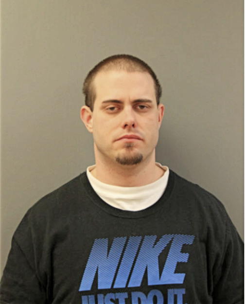 BRIAN LISZKA, Cook County, Illinois