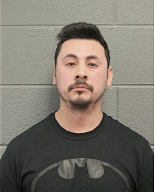LUIS F MAGANA, Cook County, Illinois