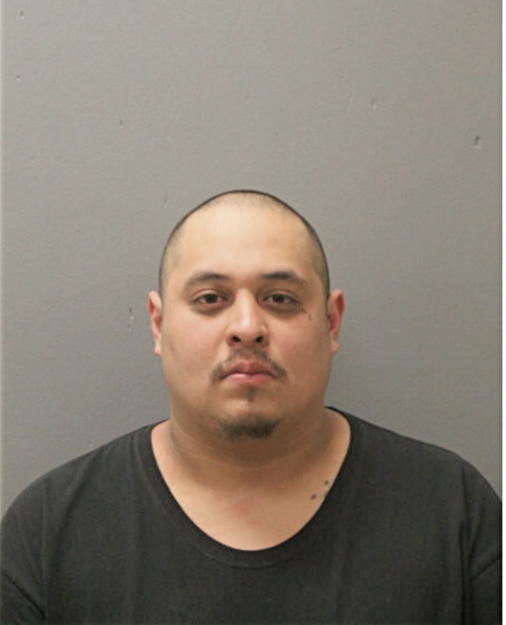 LUIS J. MENDOZA, Cook County, Illinois