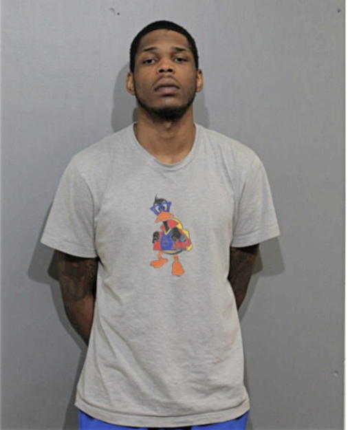 DION PATTERSON, Cook County, Illinois