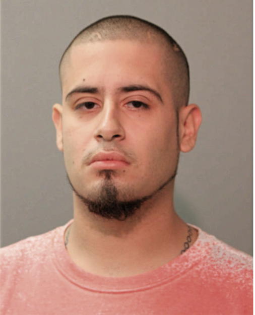 DAVID RIVERA, Cook County, Illinois