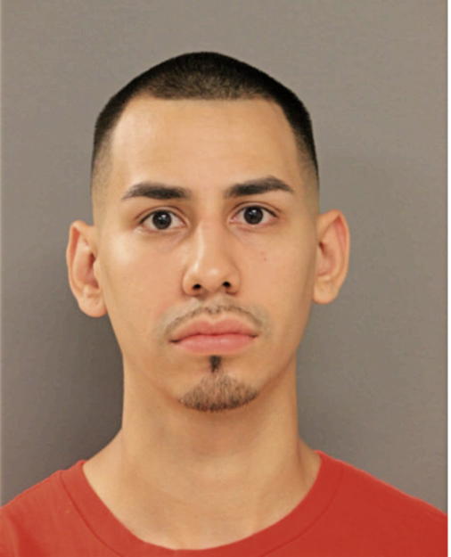 JOEL J RIVERA, Cook County, Illinois