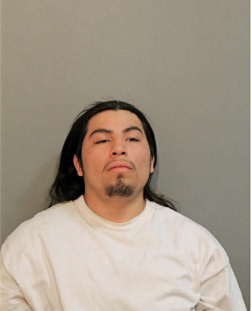 FERNANDO RUIZ, Cook County, Illinois