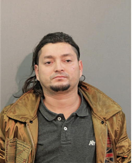 LUIS A SANTAMARIA-ARIAS, Cook County, Illinois