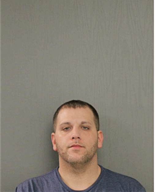 MICHAEL J SEMINETTA, Cook County, Illinois