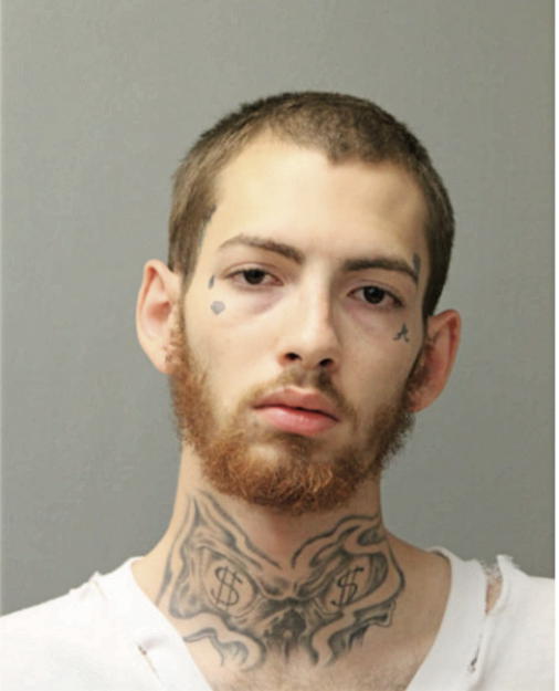 ANDREW A TORRES, Cook County, Illinois