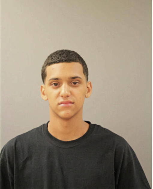 JAMIE C VILLARREAL, Cook County, Illinois