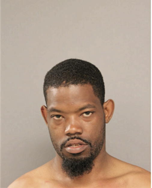 MATTHEW J WOODS, Cook County, Illinois
