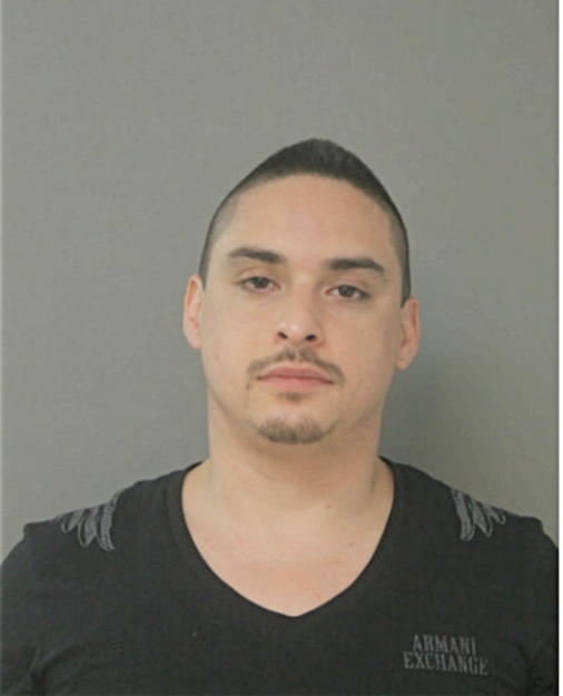 AMAURY ZAPIEN, Cook County, Illinois