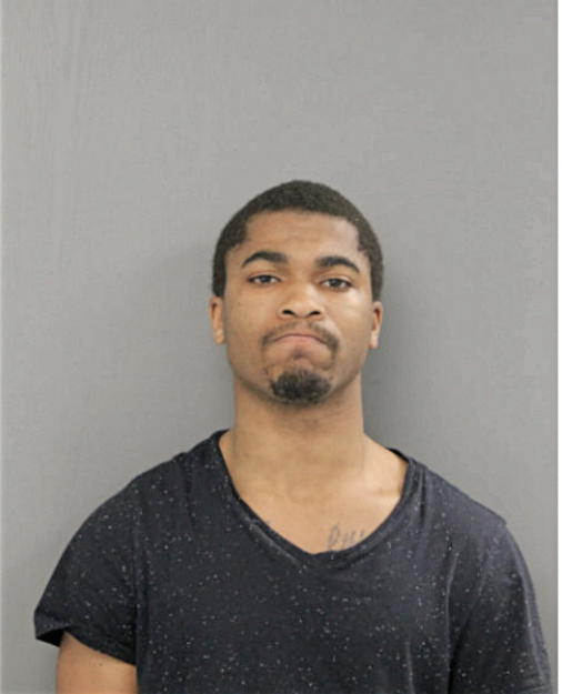 DWAYNE L ANDERSON, Cook County, Illinois