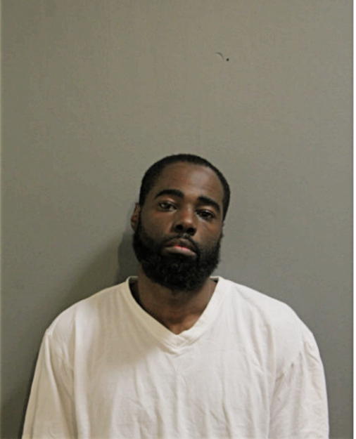 JAMES L ANDERSON, Cook County, Illinois