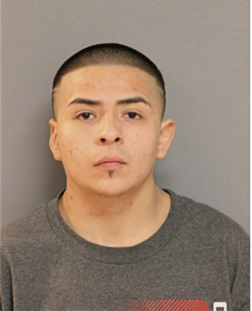 EDUARDO F AVEDANO-RUIZ, Cook County, Illinois