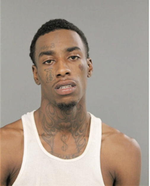 BRANDON L BROWN, Cook County, Illinois