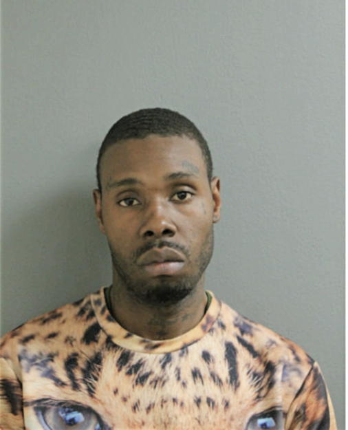 TERRENCE C HOPKINS, Cook County, Illinois