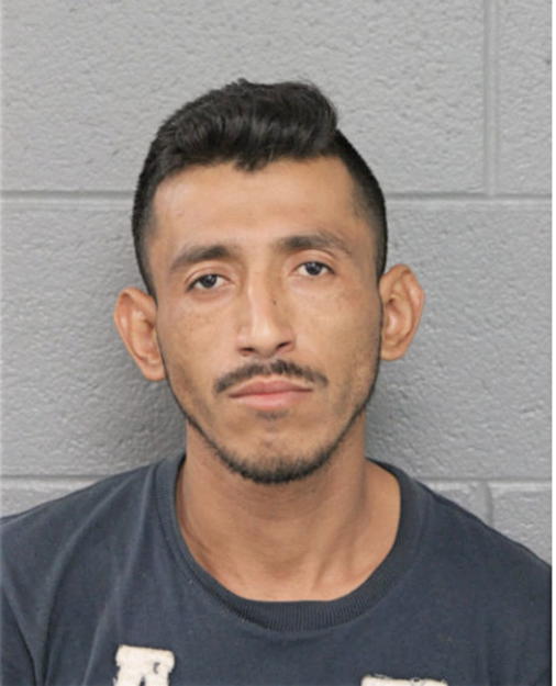 NARCISO I CAMARGO-MONDRAGON, Cook County, Illinois