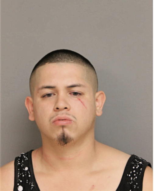 ALEJANDRO DIAZ, Cook County, Illinois