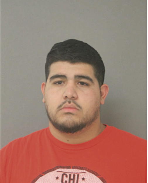 SIMON DIAZ-DELEON, Cook County, Illinois