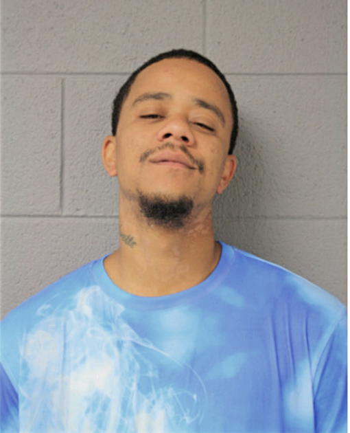MICHAEL L DODD, Cook County, Illinois