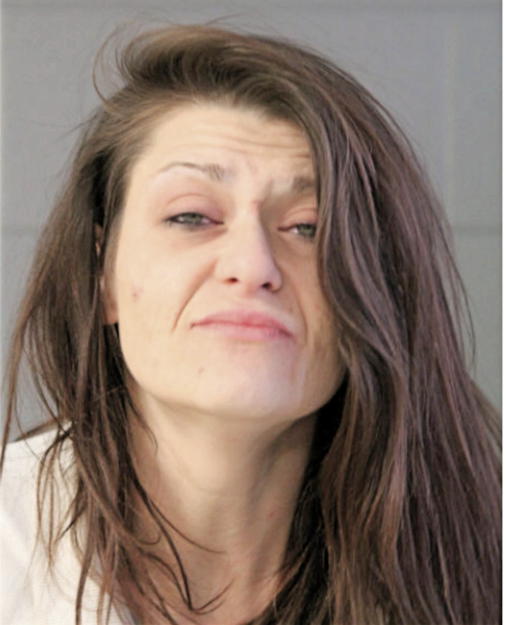 CATHERINE A DOLEHIDE, Cook County, Illinois
